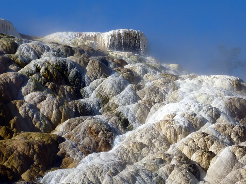 Yellowstone Mammoth Hotsprings (30).JPG